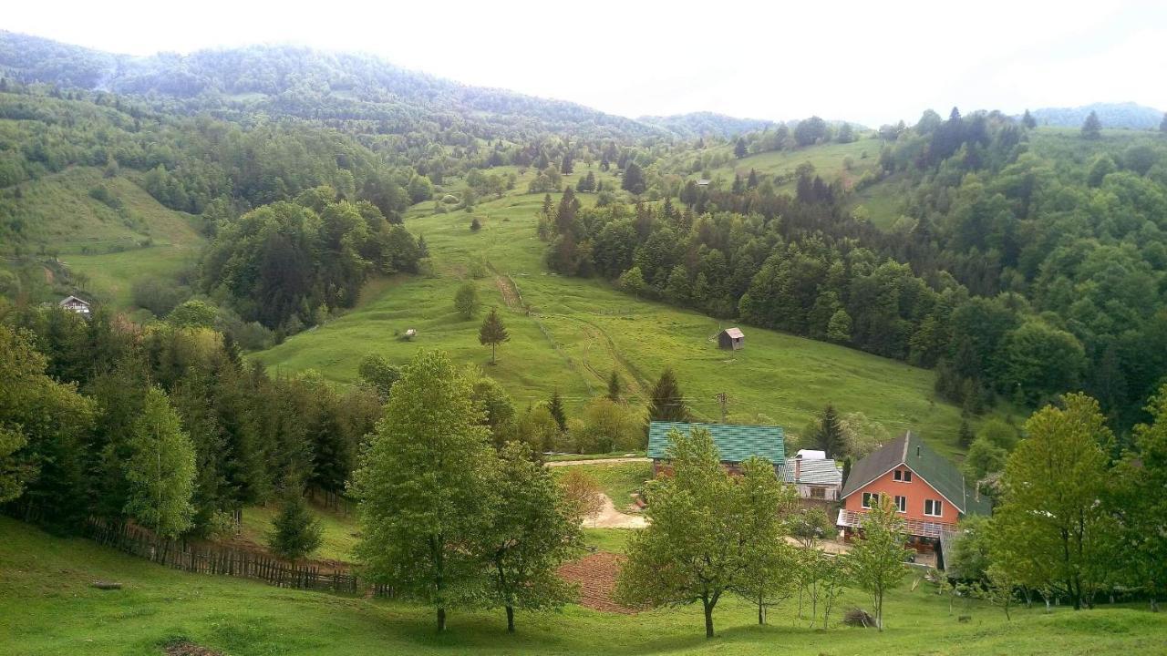 Casa Geanina Colibiţa Exterior foto