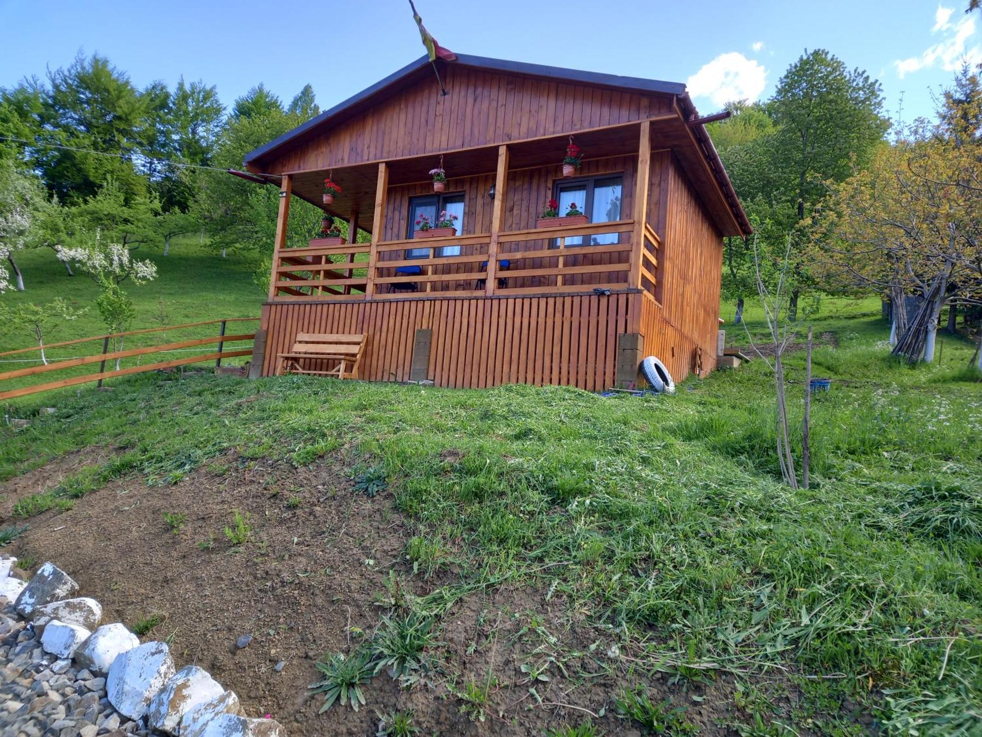 Casa Geanina Colibiţa Exterior foto